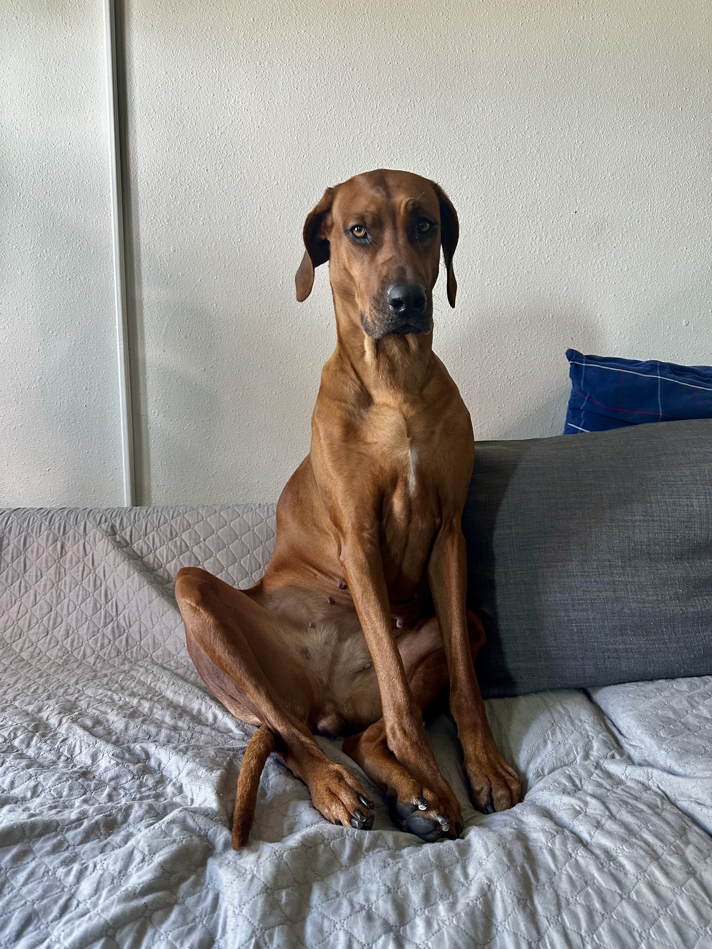 Ruby Sitting
